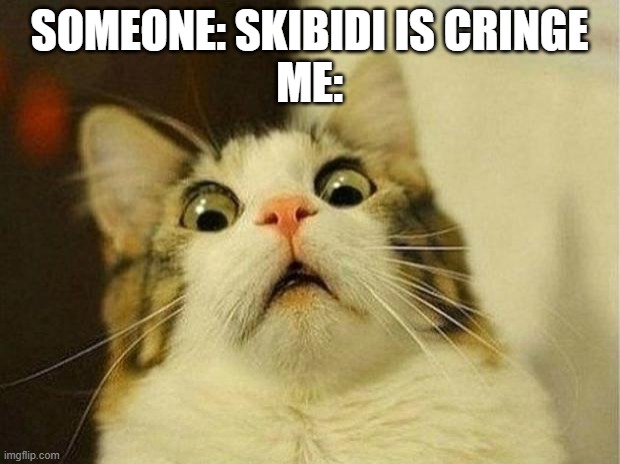 Scared Cat | SOMEONE: SKIBIDI IS CRINGE
ME: | image tagged in memes,scared cat,skibidi toilet | made w/ Imgflip meme maker
