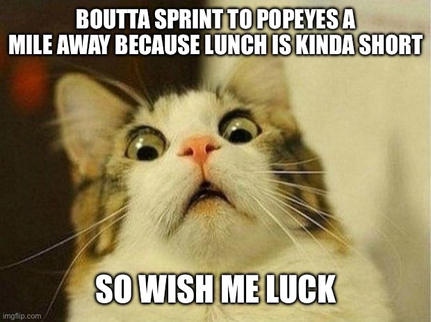 Scared Cat | BOUTTA SPRINT TO POPEYES A MILE AWAY BECAUSE LUNCH IS KINDA SHORT; SO WISH ME LUCK | image tagged in memes,scared cat | made w/ Imgflip meme maker