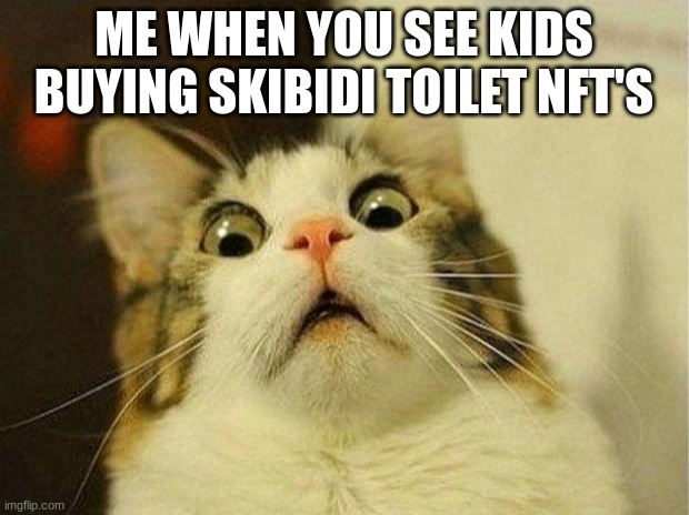 memz | ME WHEN YOU SEE KIDS BUYING SKIBIDI TOILET NFT'S | image tagged in memes,scared cat | made w/ Imgflip meme maker