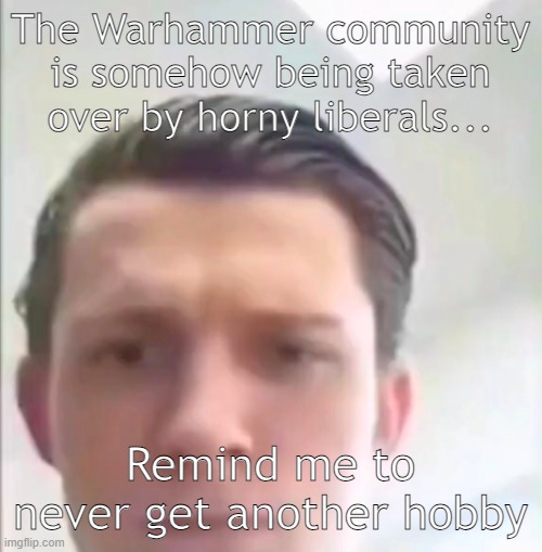 Can't have anything nice | The Warhammer community is somehow being taken over by horny liberals... Remind me to never get another hobby | image tagged in tom holland | made w/ Imgflip meme maker
