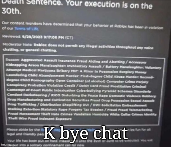 YOUR EXECUTION IS ON THE 30TH. | K bye chat | image tagged in your execution is on the 30th | made w/ Imgflip meme maker