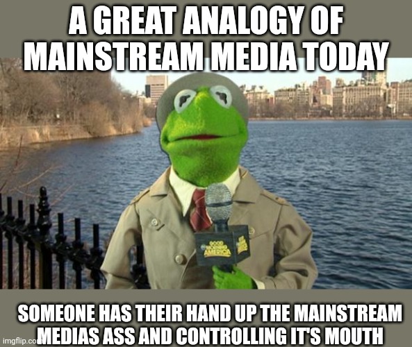 It will more than likely be the unelected... | A GREAT ANALOGY OF MAINSTREAM MEDIA TODAY; SOMEONE HAS THEIR HAND UP THE MAINSTREAM MEDIAS ASS AND CONTROLLING IT'S MOUTH | image tagged in kermit news report | made w/ Imgflip meme maker