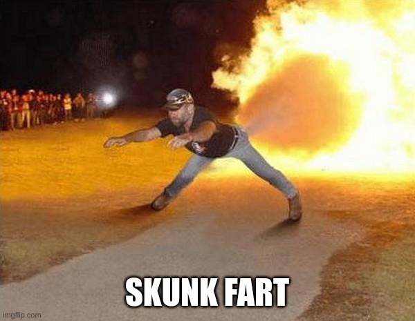 fire fart | SKUNK FART | image tagged in fire fart | made w/ Imgflip meme maker