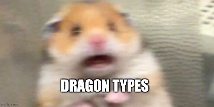 Screaming Hampster | DRAGON TYPES | image tagged in screaming hampster | made w/ Imgflip meme maker