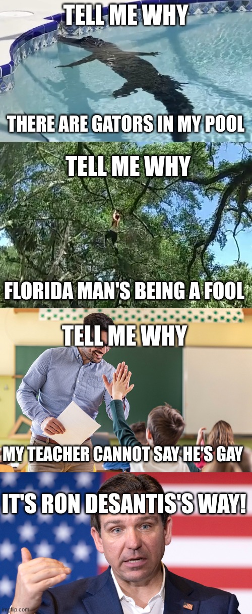 florida | TELL ME WHY; THERE ARE GATORS IN MY POOL; TELL ME WHY; FLORIDA MAN'S BEING A FOOL; TELL ME WHY; MY TEACHER CANNOT SAY HE'S GAY; IT'S RON DESANTIS'S WAY! | image tagged in politics,florida,florida man,gay,teacher,alligator | made w/ Imgflip meme maker