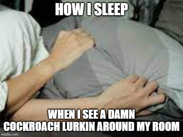 tbh it just weird | HOW I SLEEP; WHEN I SEE A DAMN COCKROACH LURKIN AROUND MY ROOM | image tagged in memes,cockroach,bed,room,sleep | made w/ Imgflip meme maker