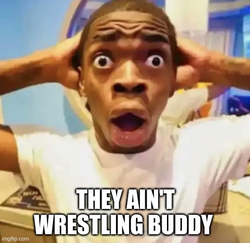 Shocked black guy | THEY AIN'T WRESTLING BUDDY | image tagged in shocked black guy | made w/ Imgflip meme maker