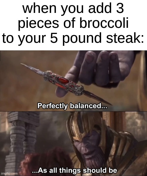 steak | when you add 3 pieces of broccoli to your 5 pound steak: | image tagged in thanos perfectly balanced as all things should be,memes | made w/ Imgflip meme maker