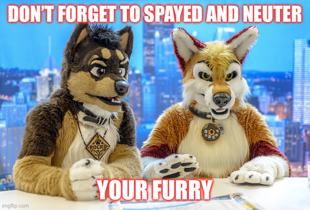 Furry | DON’T FORGET TO SPAYED AND NEUTER; YOUR FURRY | image tagged in furry news,anti furry,furries,furry memes | made w/ Imgflip meme maker