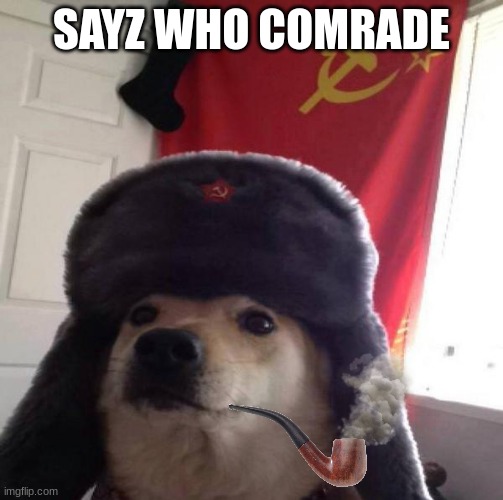 Russian Doge | SAYZ WHO COMRADE | image tagged in russian doge | made w/ Imgflip meme maker