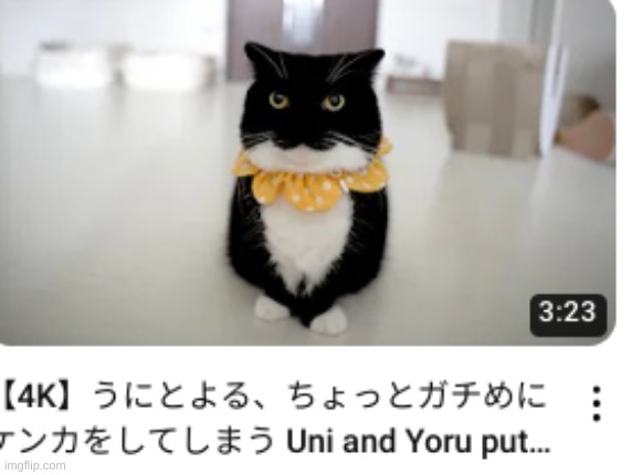 Maxwell | made w/ Imgflip meme maker