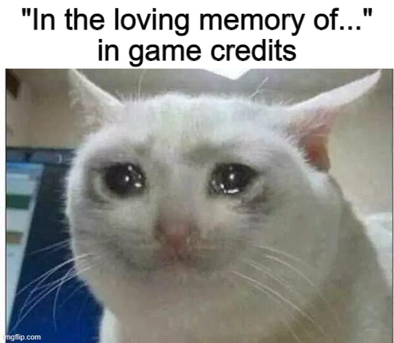 It's just heartbreaking.. | "In the loving memory of..."
in game credits | image tagged in crying cat,memes,funny,sad but true,sadge | made w/ Imgflip meme maker