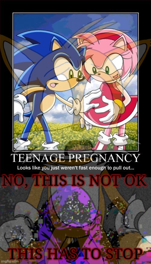 No. This is not ok. | NO, THIS IS NOT OK; THIS HAS TO STOP | image tagged in pregnancy,sonic,gotta go fast,amy rose | made w/ Imgflip meme maker