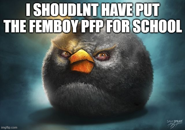 angry birds bomb | I SHOUDLNT HAVE PUT THE FEMBOY PFP FOR SCHOOL | image tagged in angry birds bomb | made w/ Imgflip meme maker