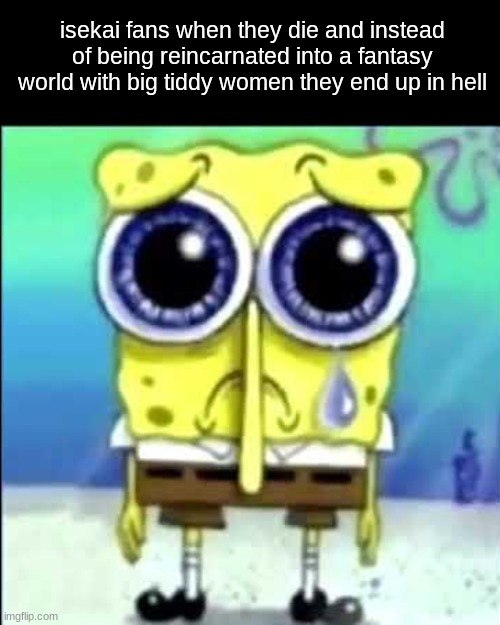 Sad Spongebob | isekai fans when they die and instead of being reincarnated into a fantasy world with big tiddy women they end up in hell | image tagged in sad spongebob | made w/ Imgflip meme maker