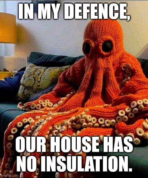On my defence | IN MY DEFENCE, OUR HOUSE HAS NO INSULATION. | image tagged in winter,octopus,winter is here,cold,freezing,freezing cold | made w/ Imgflip meme maker