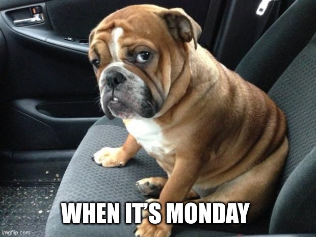 Cute Doggy | WHEN IT’S MONDAY | image tagged in bulldog | made w/ Imgflip meme maker