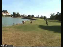 image tagged in gifs | made w/ Imgflip video-to-gif maker