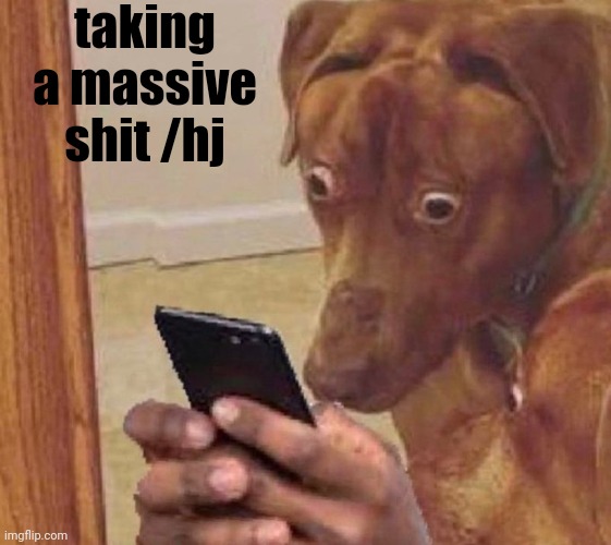 shocked dog | taking a massive shit /hj | image tagged in shocked dog | made w/ Imgflip meme maker