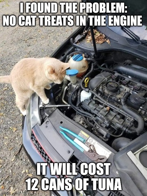 Cat Mechanic | I FOUND THE PROBLEM: NO CAT TREATS IN THE ENGINE; IT WILL COST 12 CANS OF TUNA | image tagged in mechanic cat,cats | made w/ Imgflip meme maker