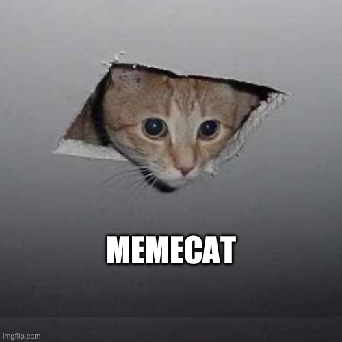 Memecat | MEMECAT | image tagged in memes,ceiling cat | made w/ Imgflip meme maker