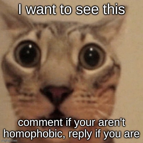 in shock | I want to see this; comment if your aren't homophobic, reply if you are | image tagged in in shock | made w/ Imgflip meme maker