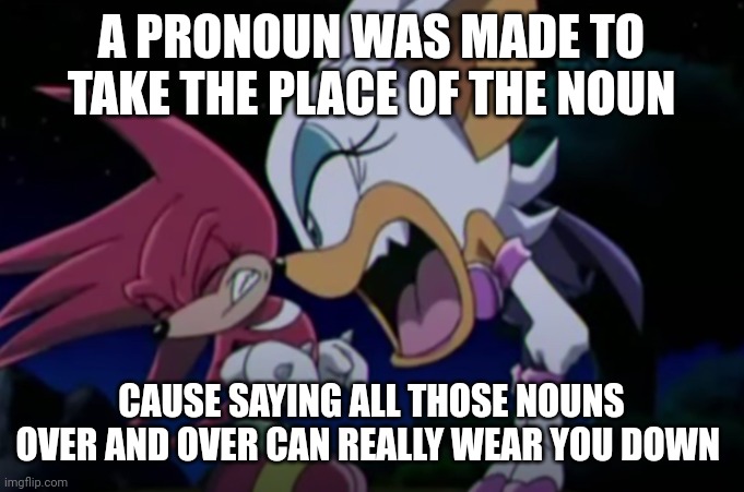 rouge yelling at knuckles | A PRONOUN WAS MADE TO TAKE THE PLACE OF THE NOUN; CAUSE SAYING ALL THOSE NOUNS OVER AND OVER CAN REALLY WEAR YOU DOWN | image tagged in rouge yelling at knuckles | made w/ Imgflip meme maker