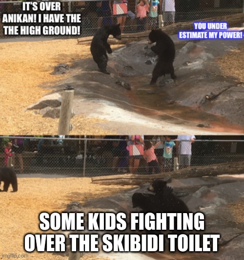 I have the high ground! | SOME KIDS FIGHTING OVER THE SKIBIDI TOILET | image tagged in i have the high ground | made w/ Imgflip meme maker