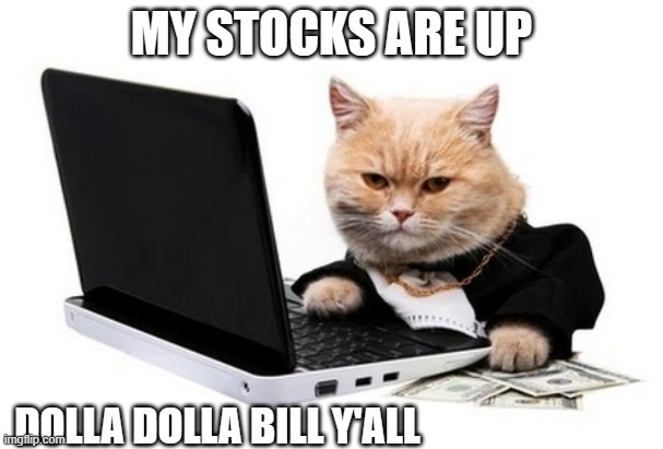 meme by Brad cat on computer looking up stocks | MY STOCKS ARE UP; DOLLA DOLLA BILL Y'ALL | image tagged in cats,funny cat memes,funny cats,humor,funny,stocks | made w/ Imgflip meme maker