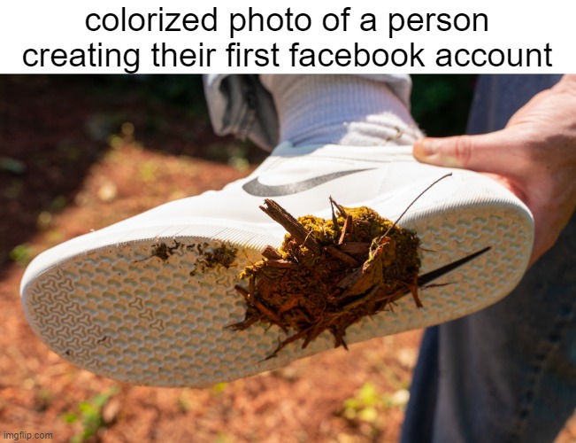 colorized photo of a person creating their first facebook account | image tagged in memes,facebook,poop,satire,sports,social media | made w/ Imgflip meme maker