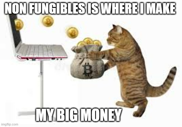meme by Brad where a cat makes his money | NON FUNGIBLES IS WHERE I MAKE; MY BIG MONEY | image tagged in cats,funny cat memes,humor,funny cat,funny,fire | made w/ Imgflip meme maker