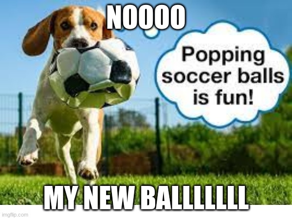 NOOOO; MY NEW BALLLLLLL | made w/ Imgflip meme maker