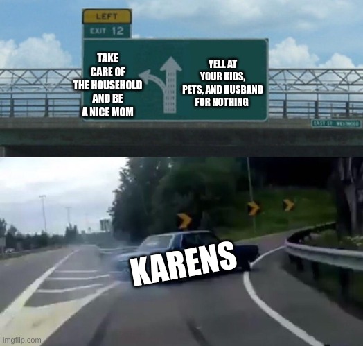 Car Drift Meme | TAKE CARE OF THE HOUSEHOLD AND BE A NICE MOM; YELL AT YOUR KIDS, PETS, AND HUSBAND FOR NOTHING; KARENS | image tagged in car drift meme,left exit 12 off ramp,exit 12 highway meme | made w/ Imgflip meme maker