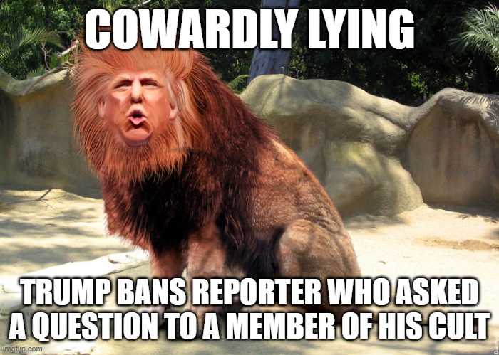 Crowardly Lying Trump | COWARDLY LYING; TRUMP BANS REPORTER WHO ASKED A QUESTION TO A MEMBER OF HIS CULT | image tagged in trump lies,trump,reporter ban | made w/ Imgflip meme maker