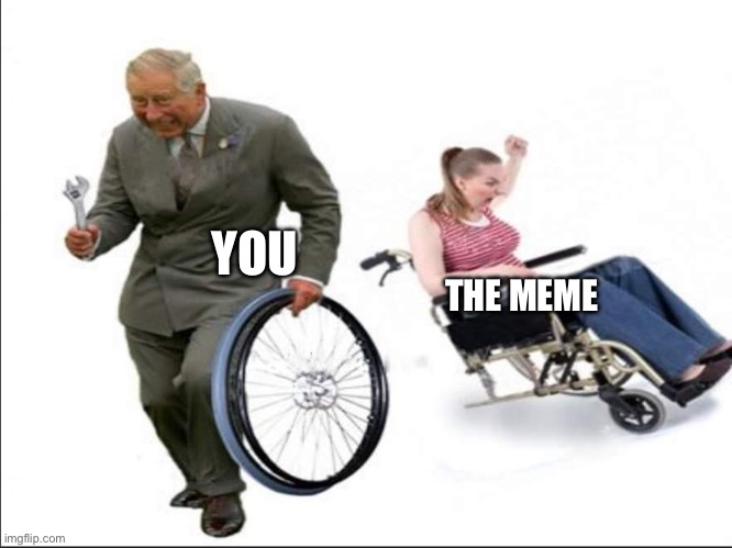 Stolen , bye | THE MEME YOU | image tagged in stolen bye | made w/ Imgflip meme maker