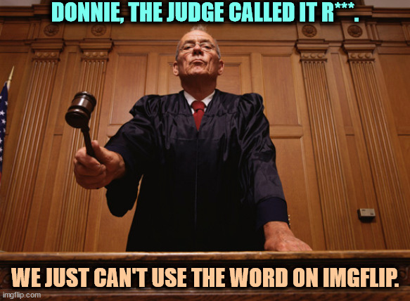 DONNIE, THE JUDGE CALLED IT R***. WE JUST CAN'T USE THE WORD ON IMGFLIP. | image tagged in judge,lawsuit,sexual assault,donald trump | made w/ Imgflip meme maker