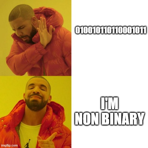 non binary | 010010110110001011; I'M NON BINARY | image tagged in drake blank | made w/ Imgflip meme maker