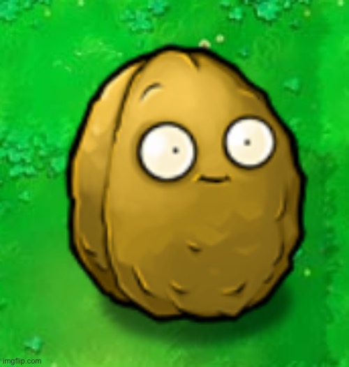 Wall-Nut | image tagged in wall-nut | made w/ Imgflip meme maker