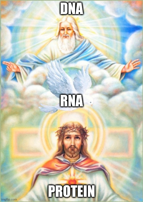 post-genomic holy trinity | DNA; RNA; PROTEIN | image tagged in genetics,genomics,trinity | made w/ Imgflip meme maker
