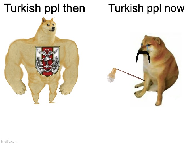 Buff Doge vs. Cheems | Turkish ppl then; Turkish ppl now | image tagged in memes,you have been eternally cursed for reading the tags | made w/ Imgflip meme maker