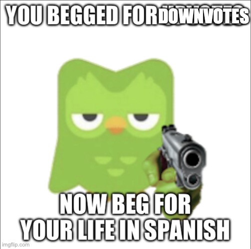 DOWNVOTES | image tagged in you begged for upvotes | made w/ Imgflip meme maker