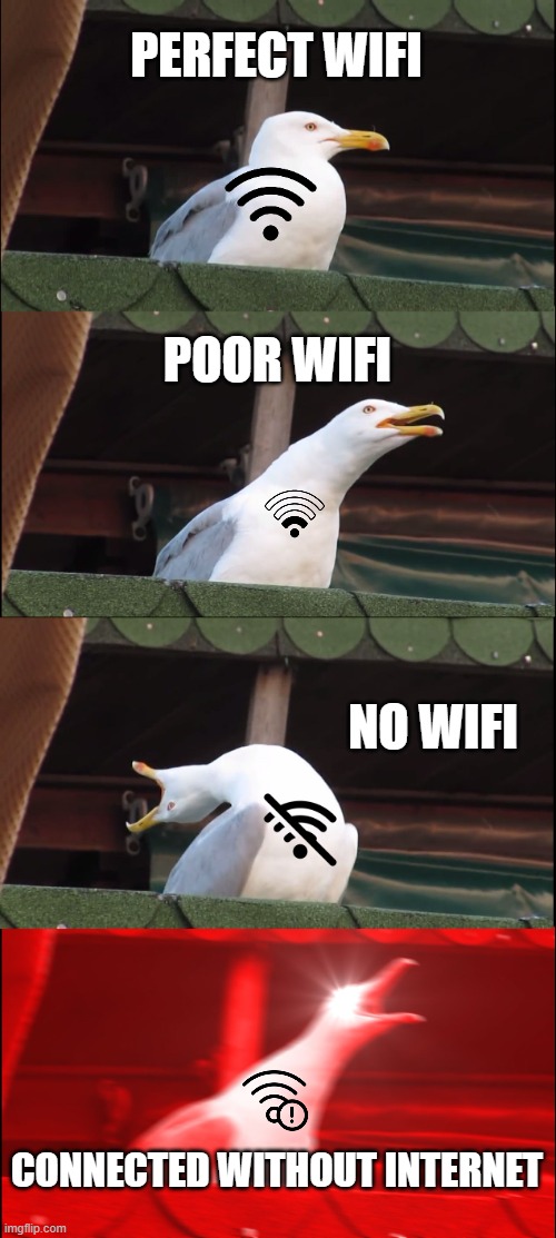 Bruh | PERFECT WIFI; POOR WIFI; NO WIFI; CONNECTED WITHOUT INTERNET | image tagged in memes,inhaling seagull | made w/ Imgflip meme maker