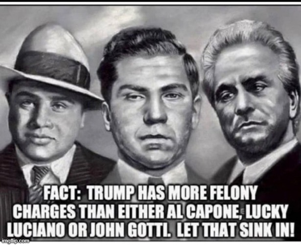 Ask a Lib, they'll tell you he deserves it for trying to MAGA | image tagged in vince vance,trump,al capone,john gotti,mafia,memes | made w/ Imgflip meme maker