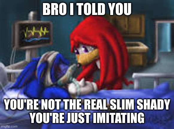 sonic i told you | BRO I TOLD YOU; YOU'RE NOT THE REAL SLIM SHADY
YOU'RE JUST IMITATING | image tagged in sonic i told you | made w/ Imgflip meme maker