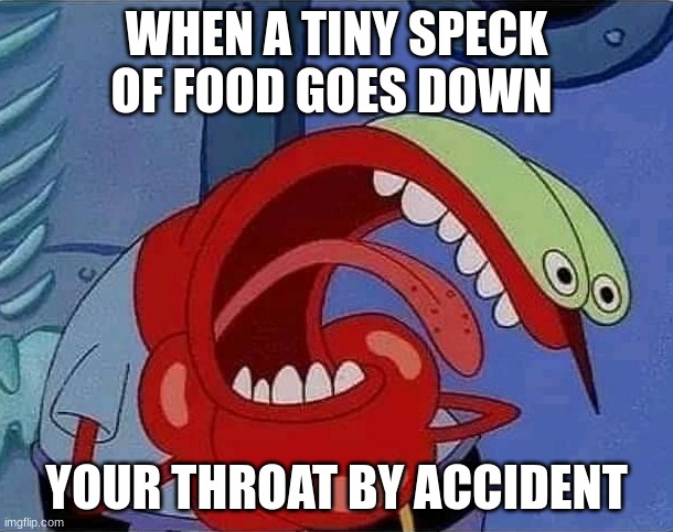 Choking Mr.Krabs | WHEN A TINY SPECK OF FOOD GOES DOWN; YOUR THROAT BY ACCIDENT | image tagged in choking mr krabs | made w/ Imgflip meme maker