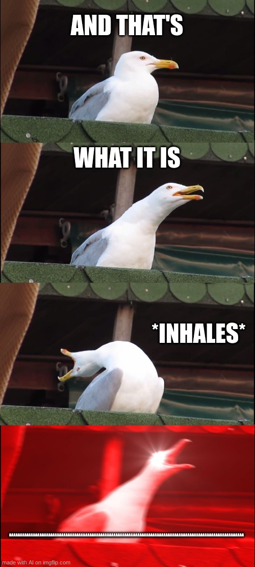me when I've explained the controls to my little sibling multiple times | AND THAT'S; WHAT IT IS; *INHALES*; AAAAAAAAAAAAAAAAAAAAAAAAAAAAAAAAAAAAAAAAAAAAAAAAAAAAAAAAAAAAAAAAAAAAAAAAAAAAAAAAAAAAAAAAAAAAAAAAAAAAAAAAAAAA | image tagged in memes,inhaling seagull | made w/ Imgflip meme maker