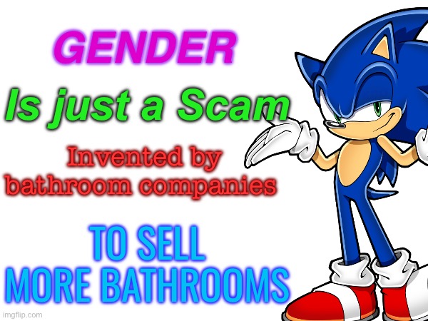 GENDER; Is just a Scam; Invented by bathroom companies; TO SELL MORE BATHROOMS | made w/ Imgflip meme maker