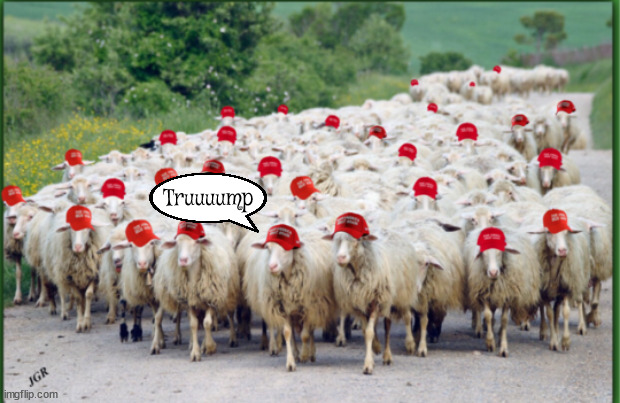 Truuuump | Truuuump | image tagged in trump rally sheepies,maga,sheeple,trump rally,red hats,poor winner sad loser | made w/ Imgflip meme maker