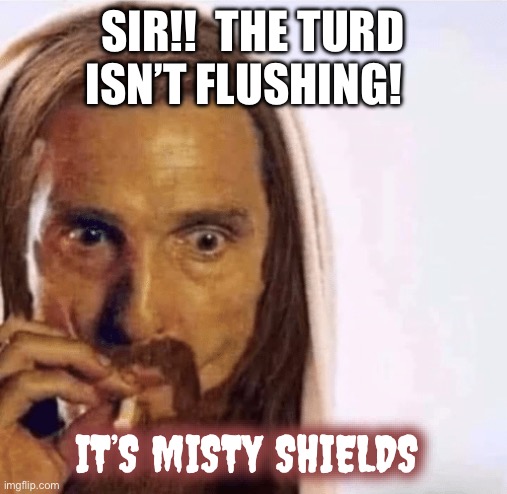 Misty Shields | SIR!!  THE TURD ISN’T FLUSHING! IT’S MISTY SHIELDS | image tagged in matthew mcconaughey jesus smoking,misty shields,turd,narcissist,misty ak,misty | made w/ Imgflip meme maker