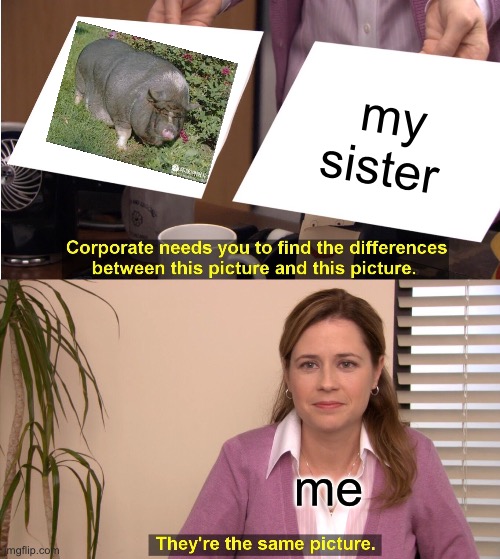 They're The Same Picture | my sister; me | image tagged in memes,they're the same picture | made w/ Imgflip meme maker
